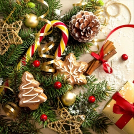 Repas de noël en famille