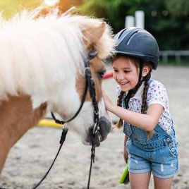 EQUITATION